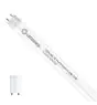 Ledvance LED Röhre T8 Performance (EM/Mains) High Output 6.8W 1100lm - 840 Kaltweiß | 60cm - Ersatz Für 18W